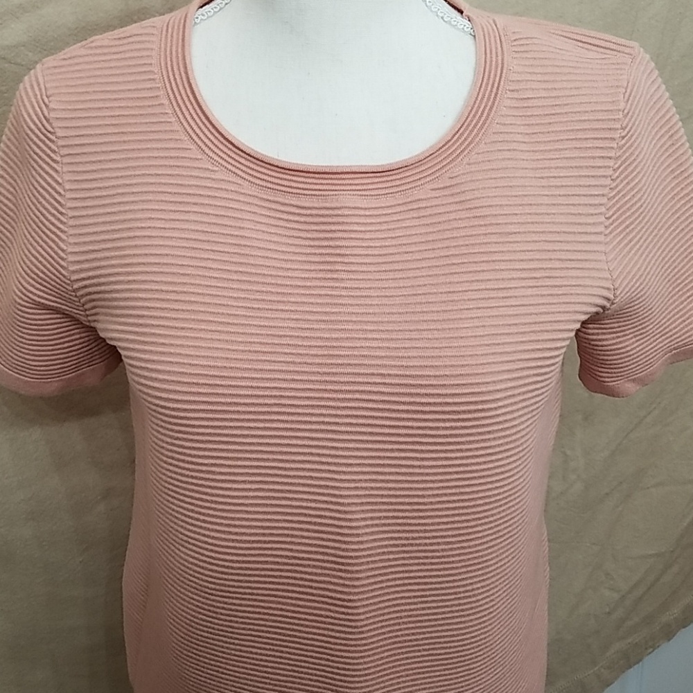 Ann Taylor Stretchy Top